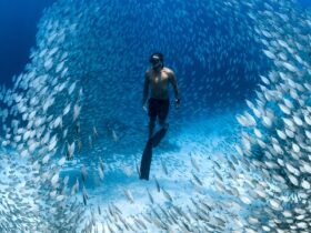 2023 Ocean Film Festival