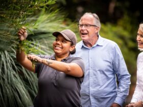 Aboriginal Heritage Tour