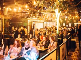 A seated crowd watching live music at night time in The Triffid Garden.