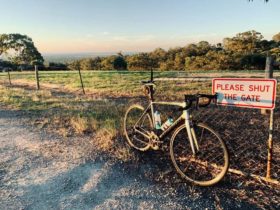 Performance Road Bike Hire