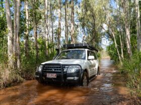 Litchfield National Park Surprise Creek Crossing