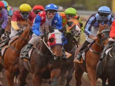 Events in The Northern Territory
