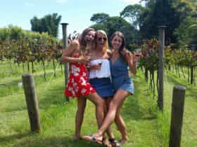 Wine tasting at Witches Falls Winery