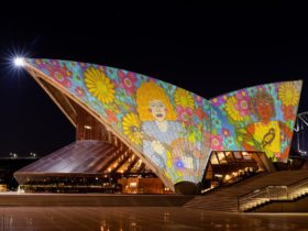 Sydney Opera House sails lit up with First Nations artwork