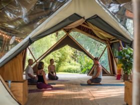 Students practicing yoga at Bamboo Yoga School, Byron Bay