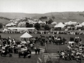 Bangalow Show