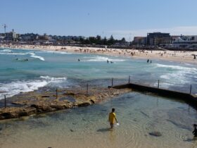 kite festival in Bondi