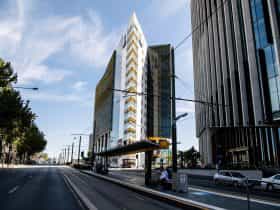 north terrace medical research precinct