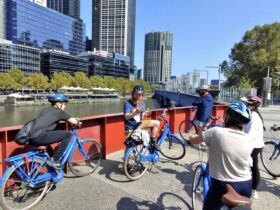 Bike rental