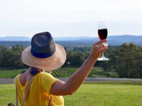 winetour