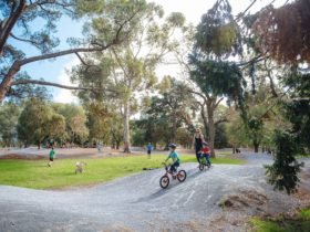 BMX City Dirt Track