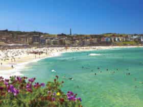 Bondi Beach