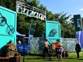 Welcome to Bazaar
