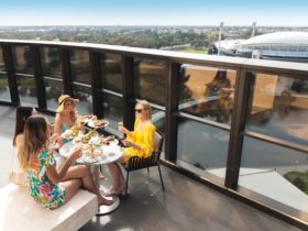 Bottomless Brunch