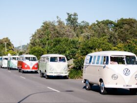 Tours with Byron Bay Kombis