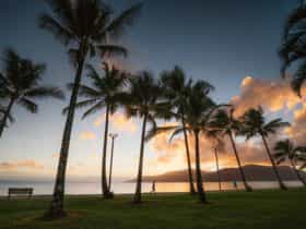 Sunrise on the Cairns esplanade