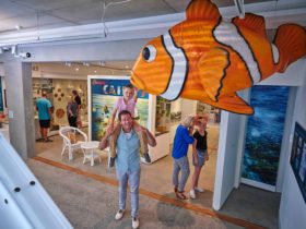Cairns Museum