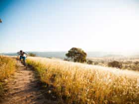 Lone cyclist in the wide open spaces