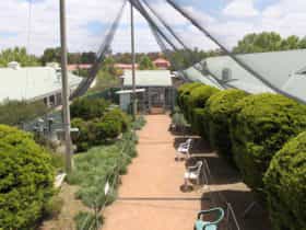 View inside the Canberra Walk in Aviary