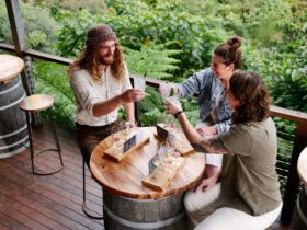 Guided Tasting Session