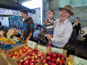 Cheerful grower