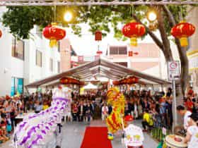 China Town Lion Dancing