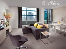One Bedroom Executive