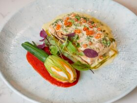 Ocean Trout