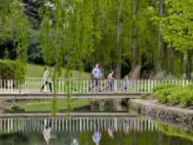 Crossing a bridge with weeping willows