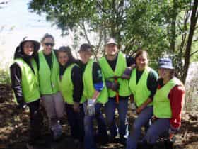 Volunteer group