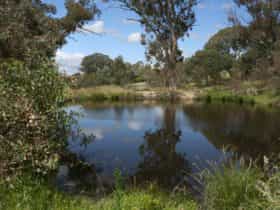 Cooleman Ridge near the dam