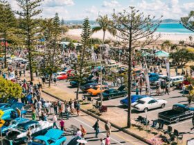 Show 'N' Shine