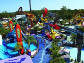 Dreamworld, Coomera