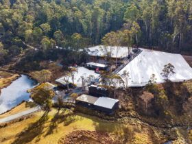 Corin Forest as seen by a drone. There are 3 large patches of snow & a small dam surrounded by trees