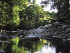 Currumbin Rock Pools