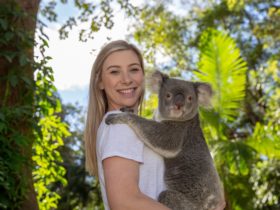 Currumbin Wildlife Sanctuary