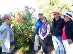 A volunteer guides leads a free guided walk