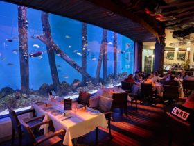 Inside Dining