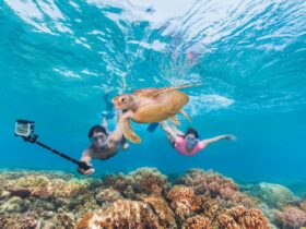 Great Barrier Reef