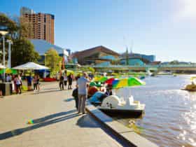 paddle boats, torrens lake