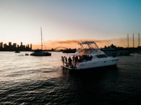 Sydney Harbour charter swimming and enjoying the Sydney Harbour Bridge