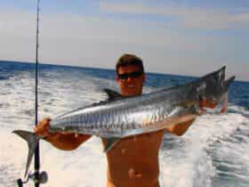 Fish Darwin