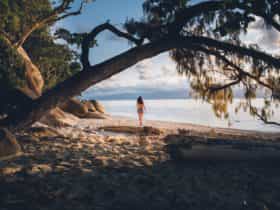 Fitzroy Island