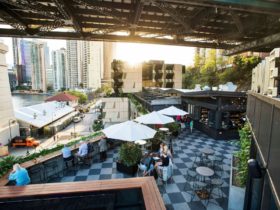 rooftop bar with views