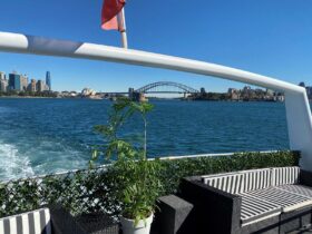 Feel the breeze against your skin as you cruise on the waters of Sydney Harbour with a boat charter.
