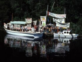 No Dams Protesters | Save the mighty Franklin River