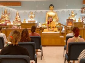 free meditation together