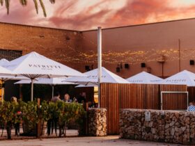 Sunset at Cellar II