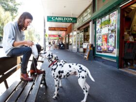 Man with his dog on Glebe Point Rd, Glebe