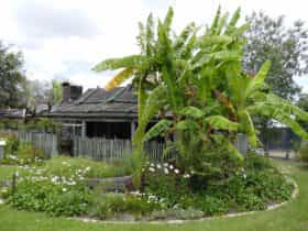 Gold Coast and Hinterland Historical Society